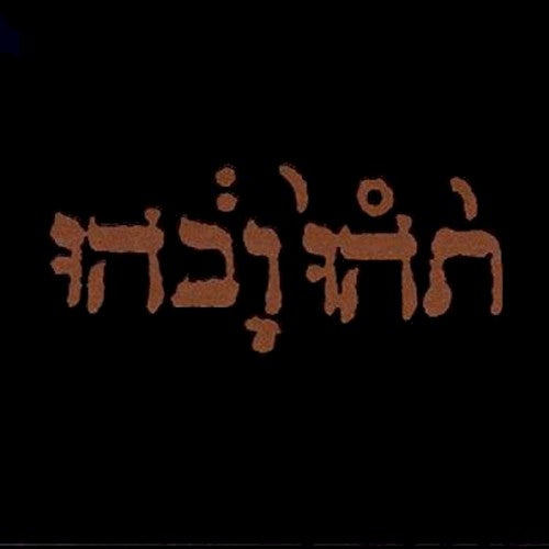 Godspeed You Black Emperor! – Slow Riot for New Zero Kanada E.P.