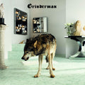 Grinderman – Grinderman 2
