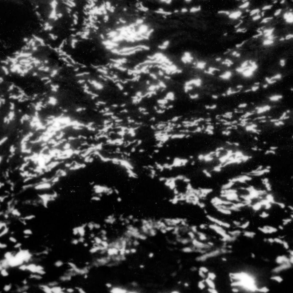 Grouper – A I A: Dream Loss