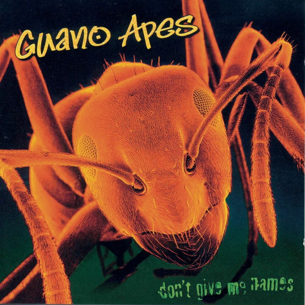 Guano Apes – Don't Give Me Names