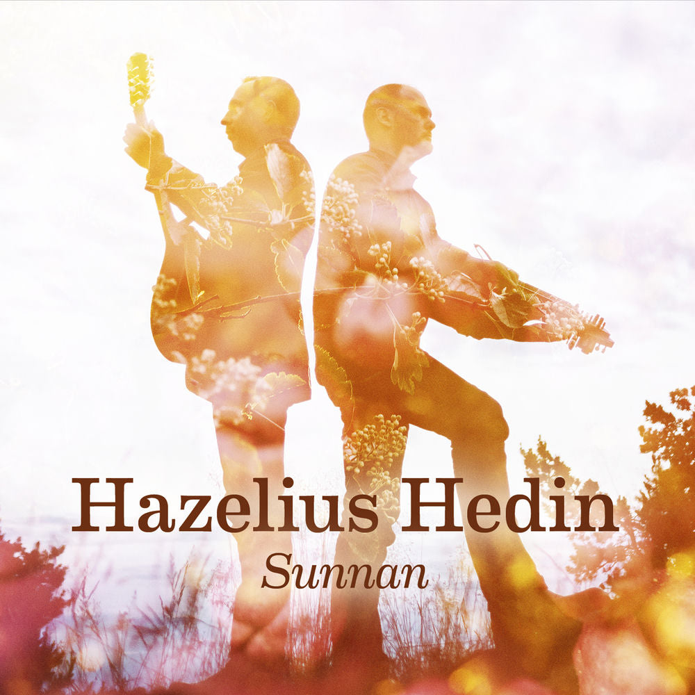 HAZELIUS HEDIN – Sunnan