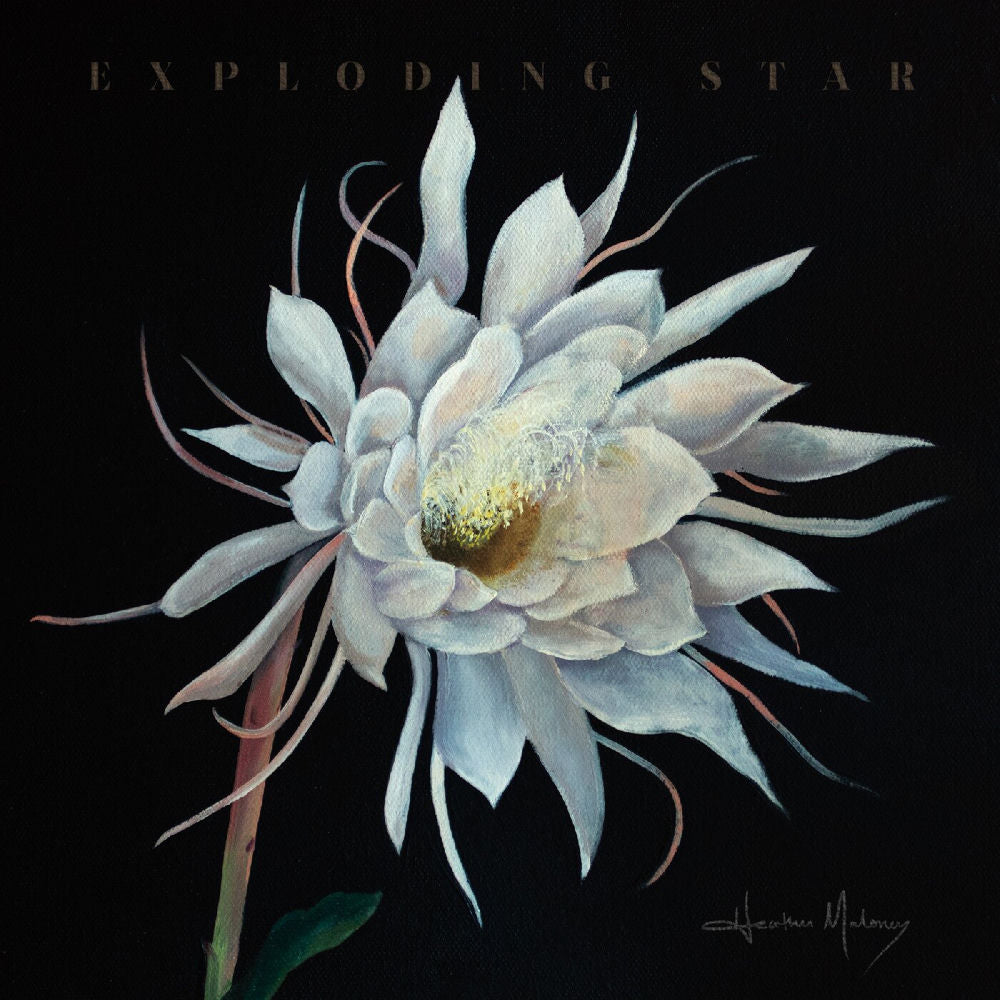 Heather Maloney – Exploding Star