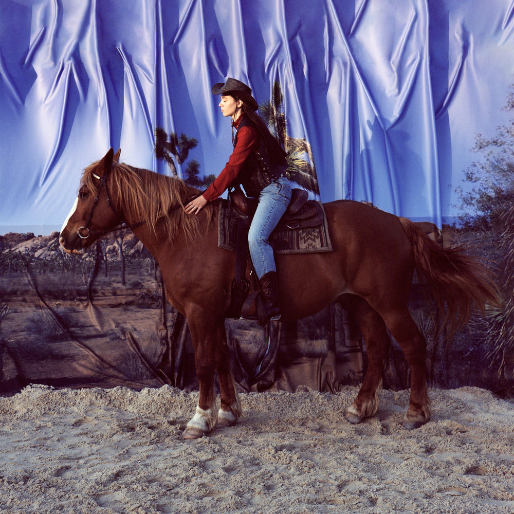 Holy Motors – Horse