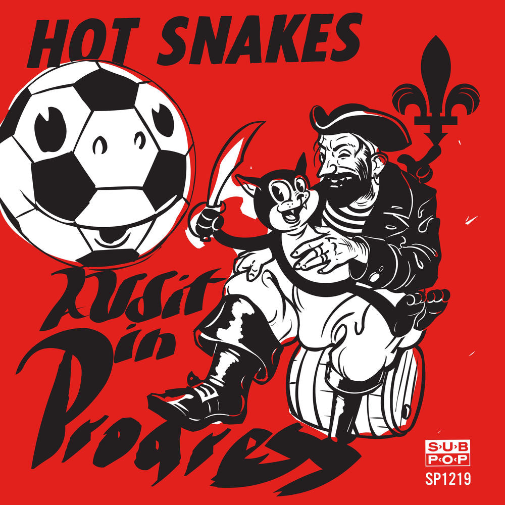 Hot Snakes – Audit in Progress