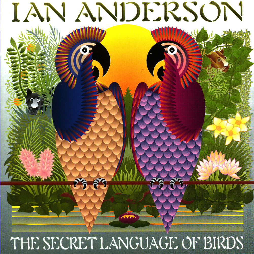 Ian Anderson – The Secret Language Of Birds