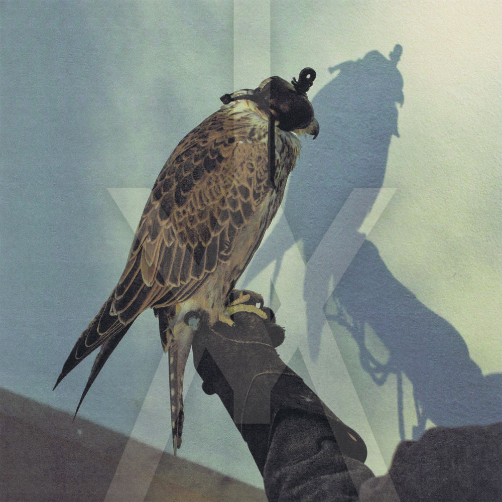Iceage – You're Nothing (+ 2)