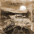 In The Woods... – Otra