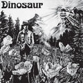 Dinosaur Jr. – Dinosaur