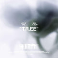 JAY B – TR.EE