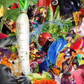Jetski – The Radiant Radish