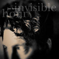 Joe Henry – Invisible Hour