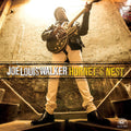 Joe Louis Walker – Hornet's Nest