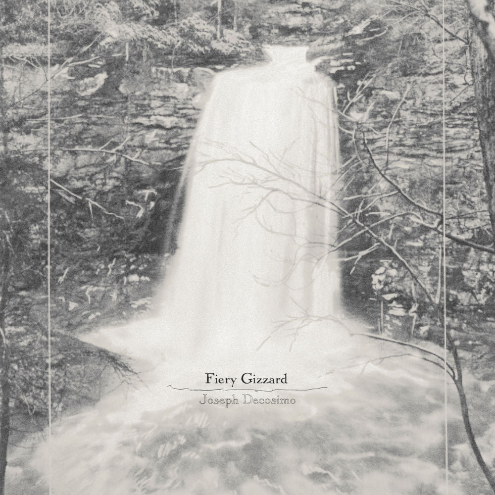 Joseph Decosimo – Fiery Gizzard