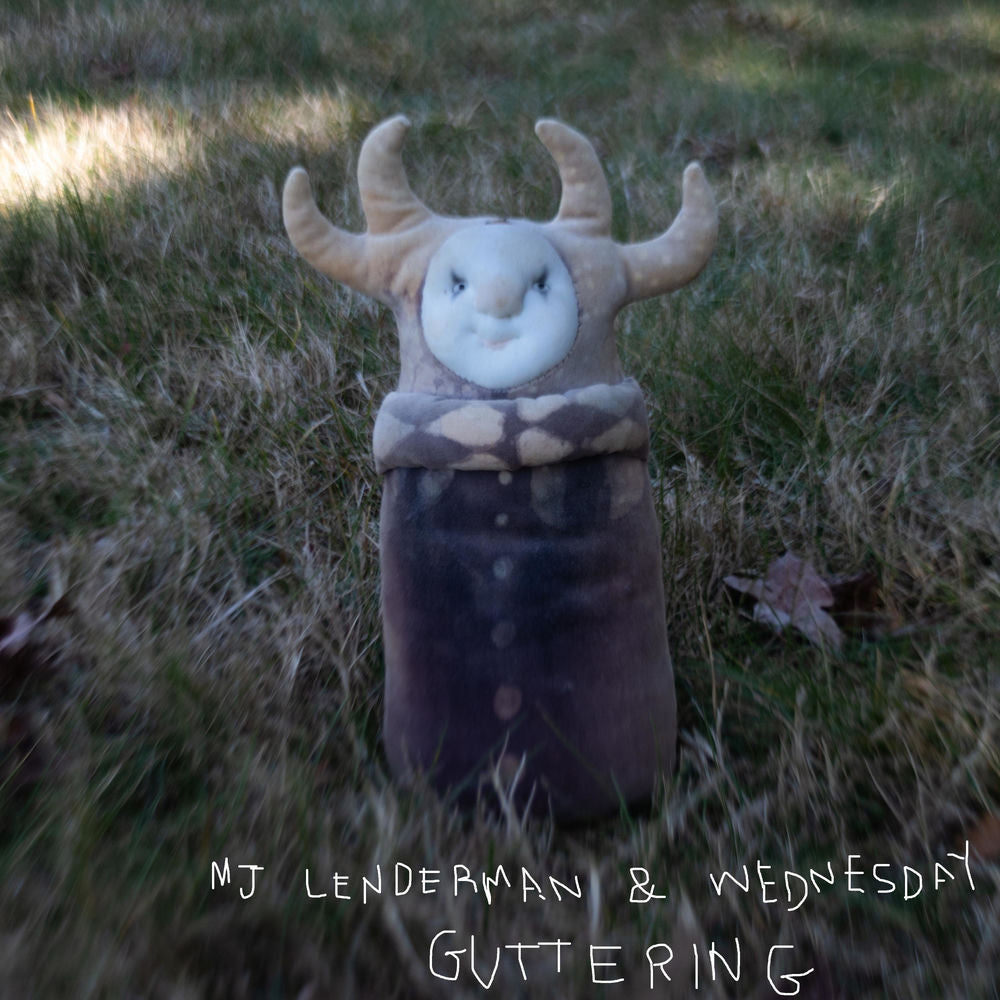 MJ Lenderman, Wednesday – Guttering