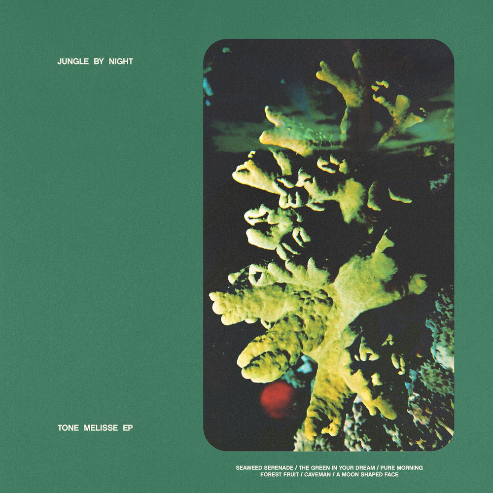 Jungle by Night – Tone Melisse