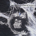 Grizzly Bear – Horn Of Plenty
