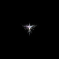 Karen O – Lux Prima