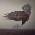 Katatonia – The Fall of Hearts