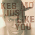 Keb' Mo' – JUST LIKE YOU