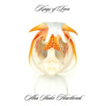 Kings of Leon – Aha Shake Heartbreak