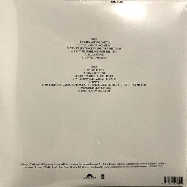 Lana Del Rey – Violet Bent Backwards Over the Grass — back cover