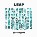 LEAP – Entropy