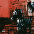 Leon Thomas – MUTT