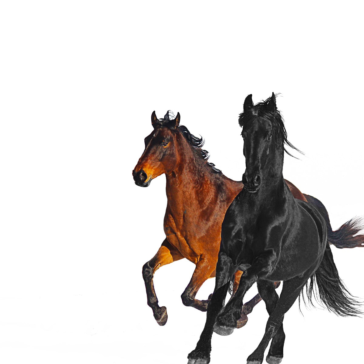 Lil Nas X – Old Town Road (feat. Billy Ray Cyrus) [Remix] - Single