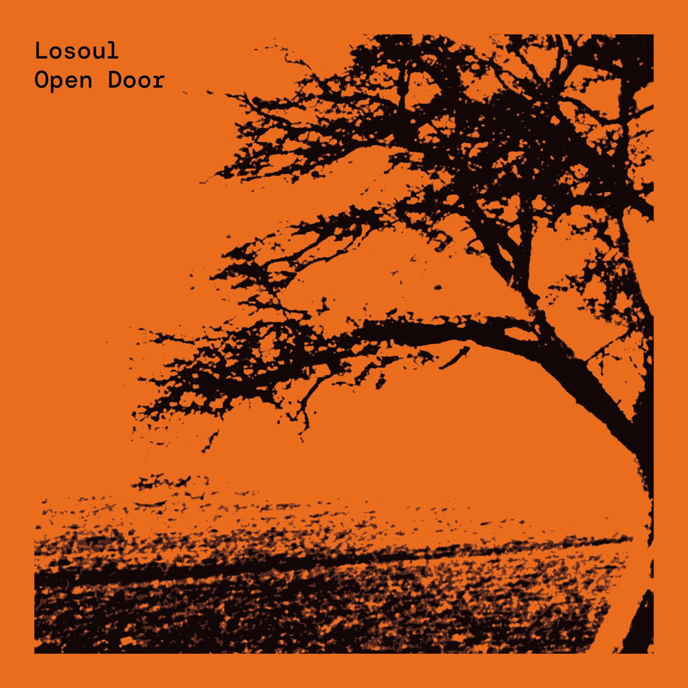 Losoul – Open Door (Expanded Edition)
