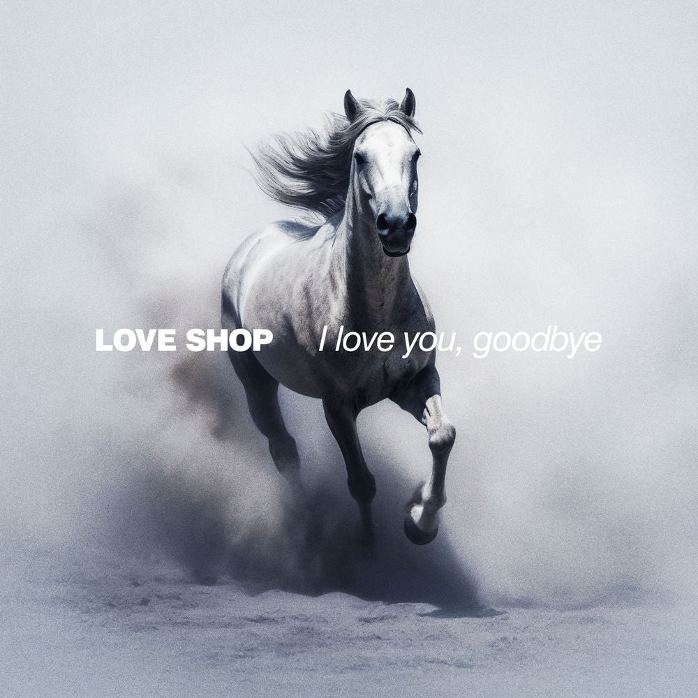Love Shop – I Love You, Goodbye