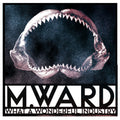 M. Ward – What a Wonderful Industry