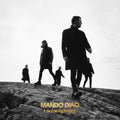 Mando Diao – I solnedgången