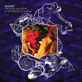 Matmos – The Rose Has Teeth In The Mouth Of A Beast