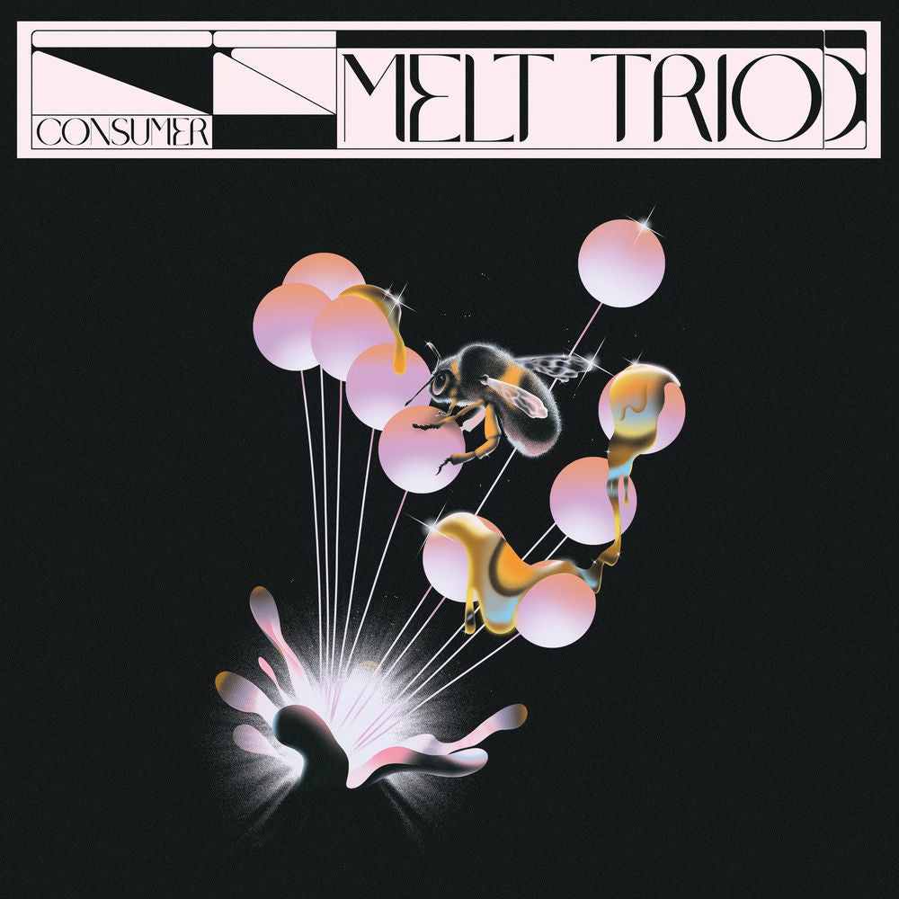 Melt Trio – Consumer