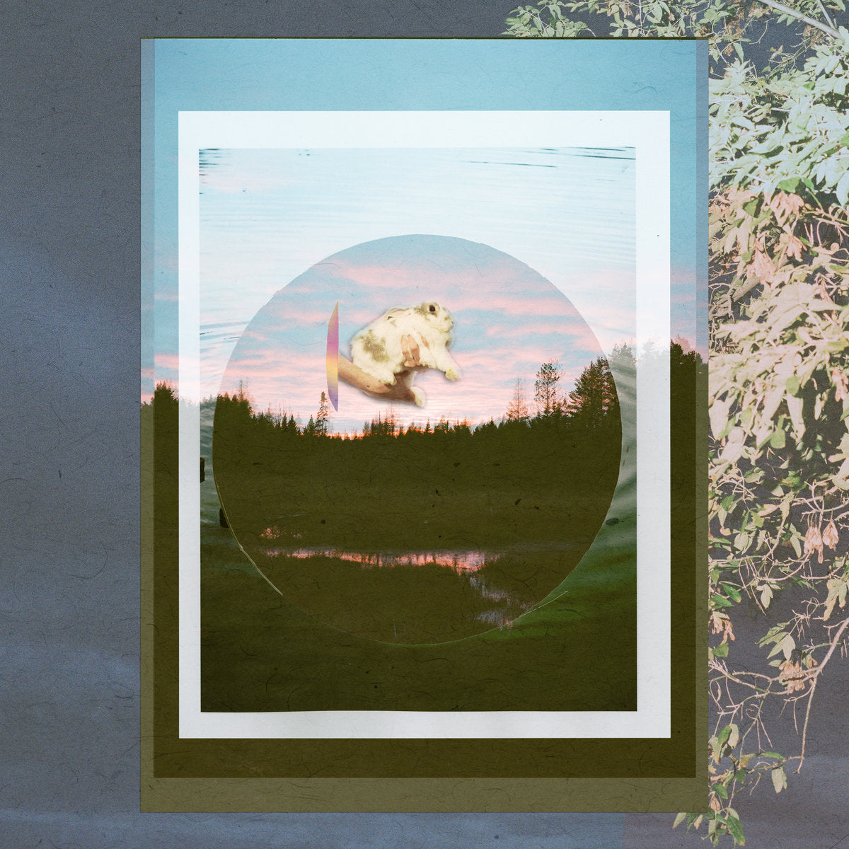 Wye Oak – Its Way With Me