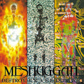 Meshuggah – Destroy Erase Improve (Reloaded)
