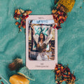 Meta_ – XIV- A Integração
