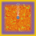 Midori Takada – Tree of Life