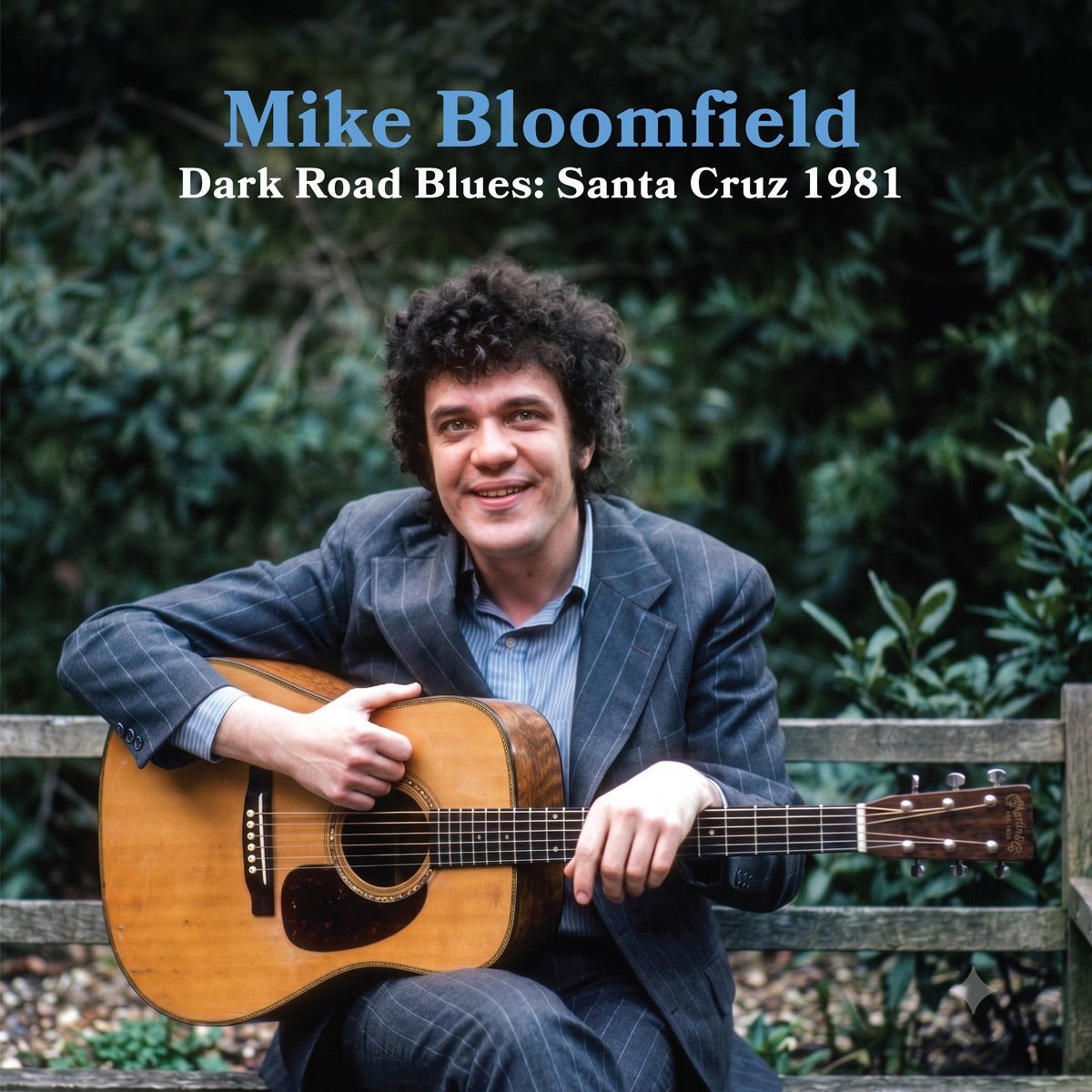 Mike Bloomfield – Dark Road Blues: Santa Cruz 1981