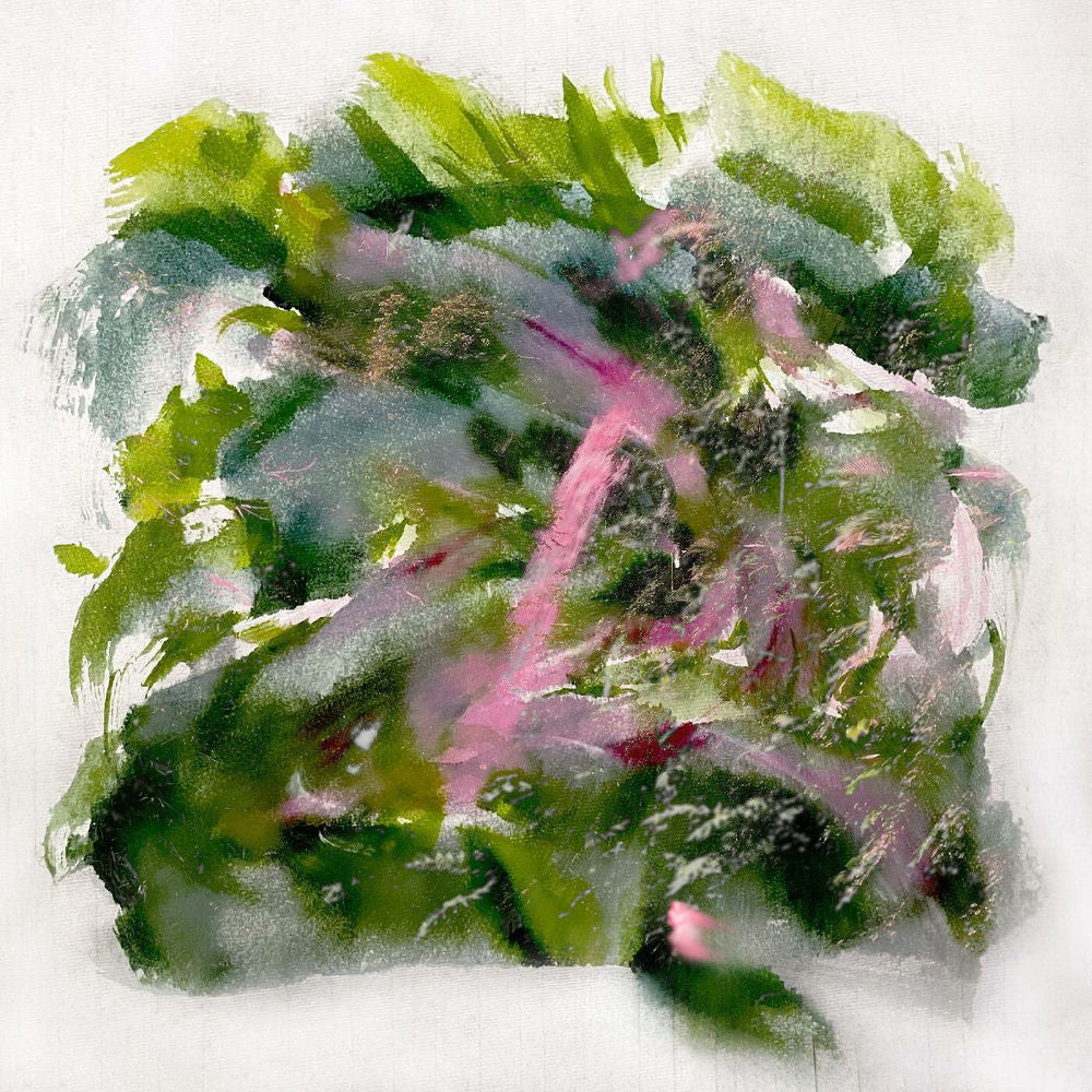 MIZU – Forest Scenes
