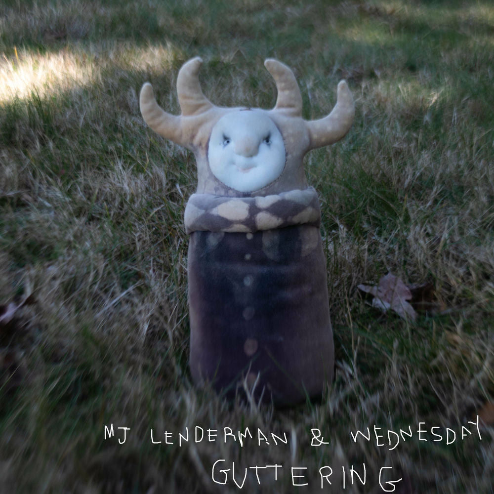 MJ Lenderman – Guttering