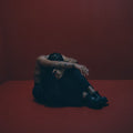 Montell Fish – CHARLOTTE