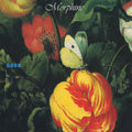Morphine – Good