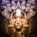 Mr.Bison – Echoes From The Universe