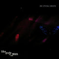 My Dying Bride – Like Gods Of The Sun