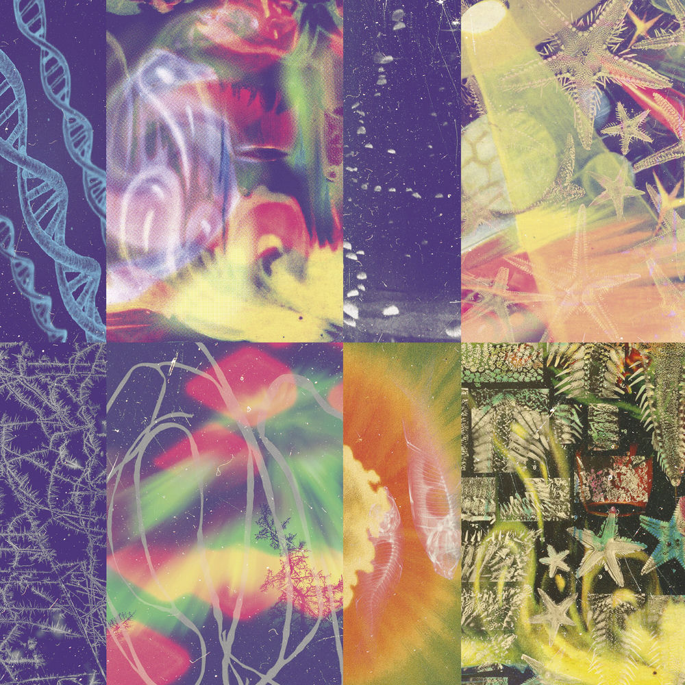 Nap Eyes – The Neon Gate