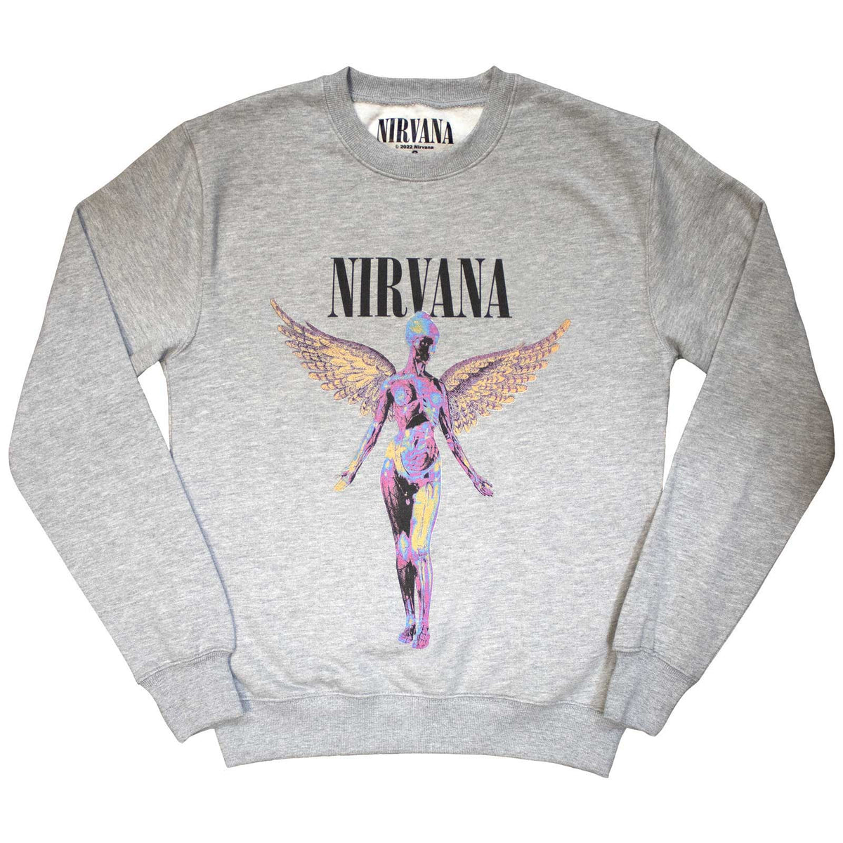 Nirvana Unisex Sweatshirt: In Utero (Grey)