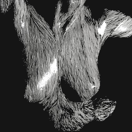 Oceansize – Self Preserved While the Bodies Float Up