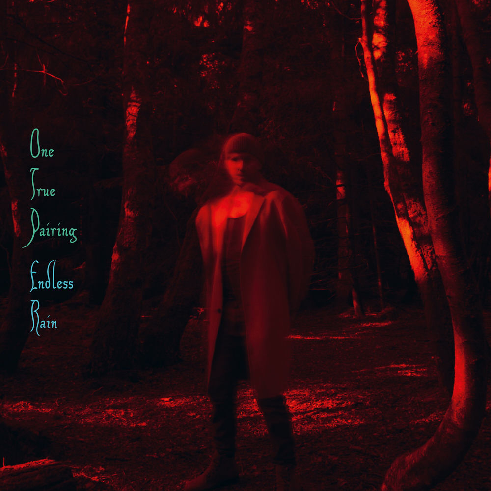One True Pairing – Endless Rain