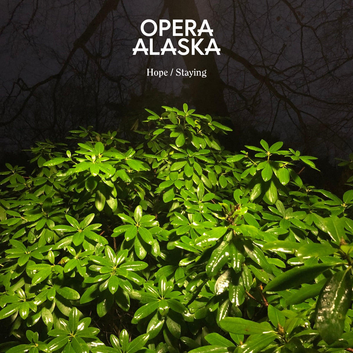 Opera Alaska – Staying - Single